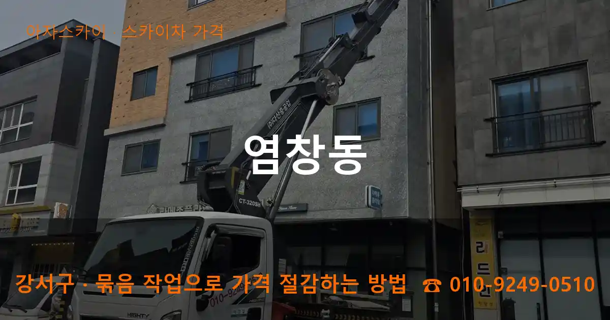 강서구 염창동 스카이차 가격 작업
