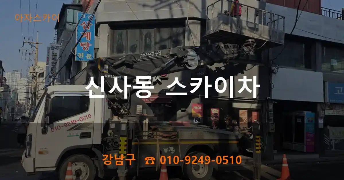 강남구 신사동 스카이차