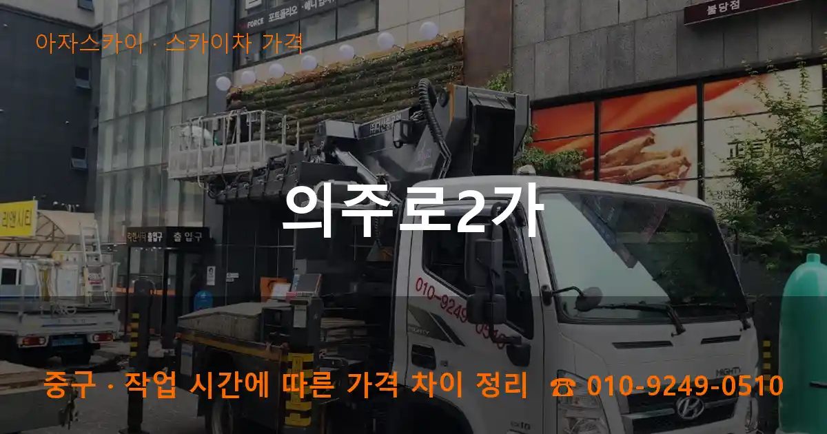 중구 의주로2가 스카이차 가격 작업
