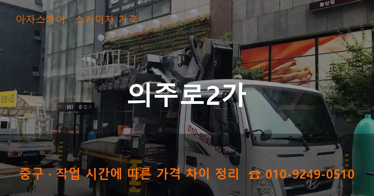중구 의주로2가 스카이차 가격 작업