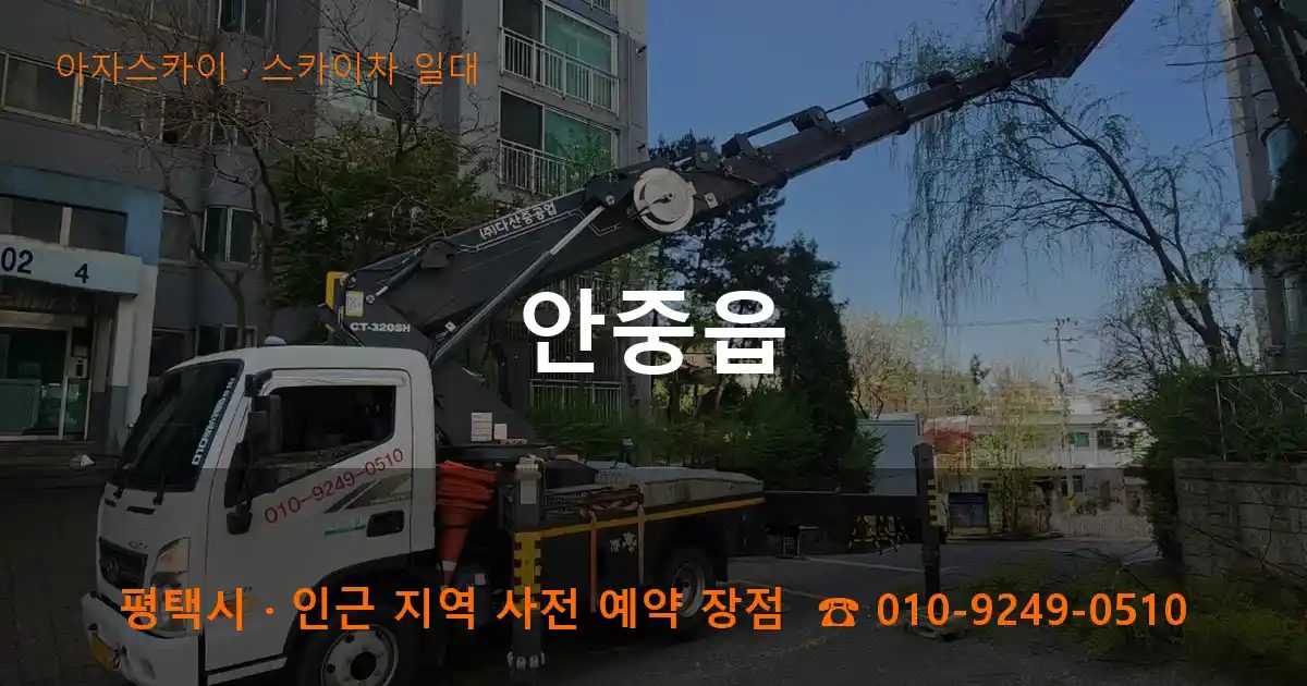 평택시 안중읍 스카이차 출장 작업