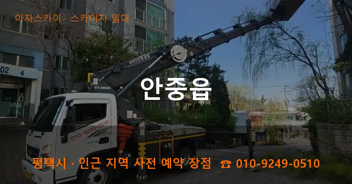 평택시 안중읍 스카이차 일대 작업