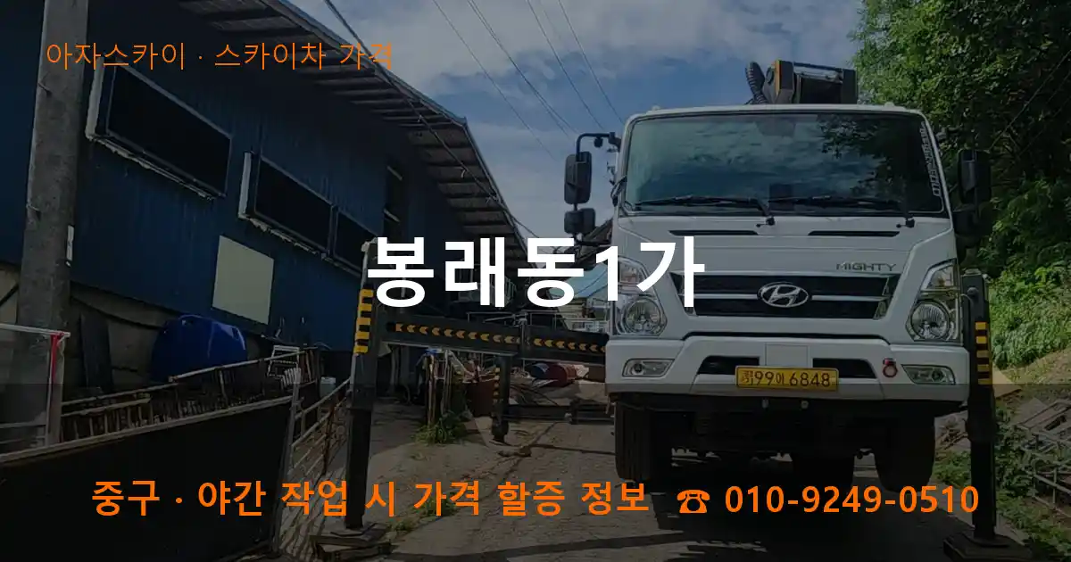 중구 봉래동1가 스카이차 가격 작업