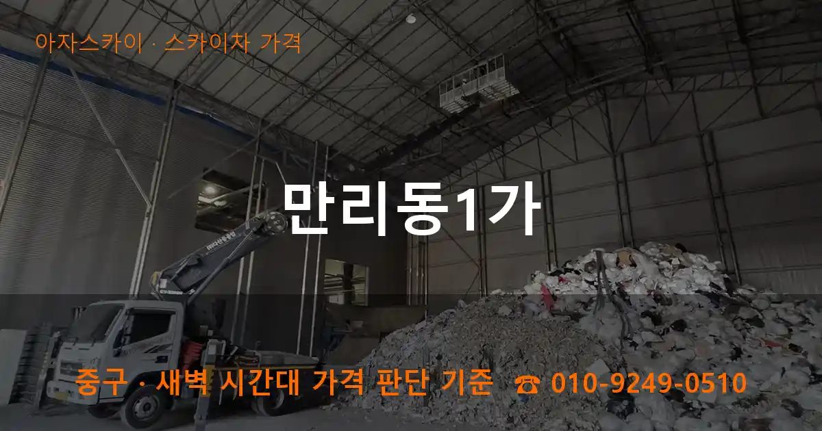 중구 만리동1가 스카이차 가격 작업
