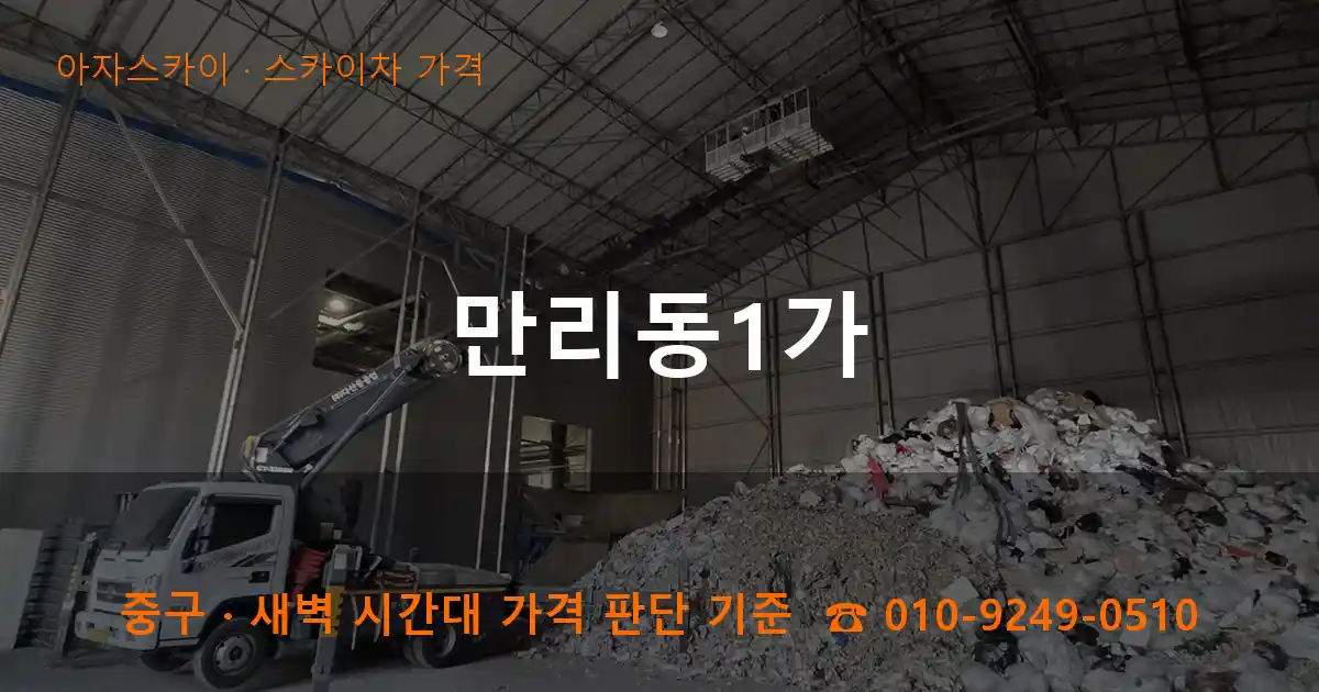 중구 만리동1가 스카이차 가격 작업