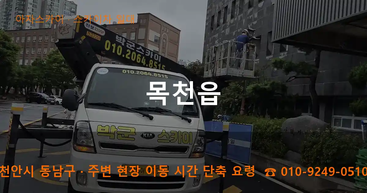 천안시 동남구 목천읍 스카이차 일대 작업