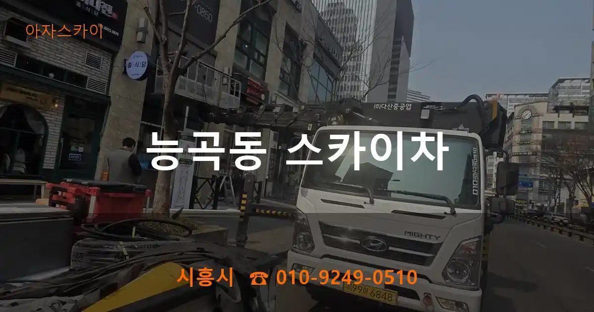 시흥시 능곡동 스카이차