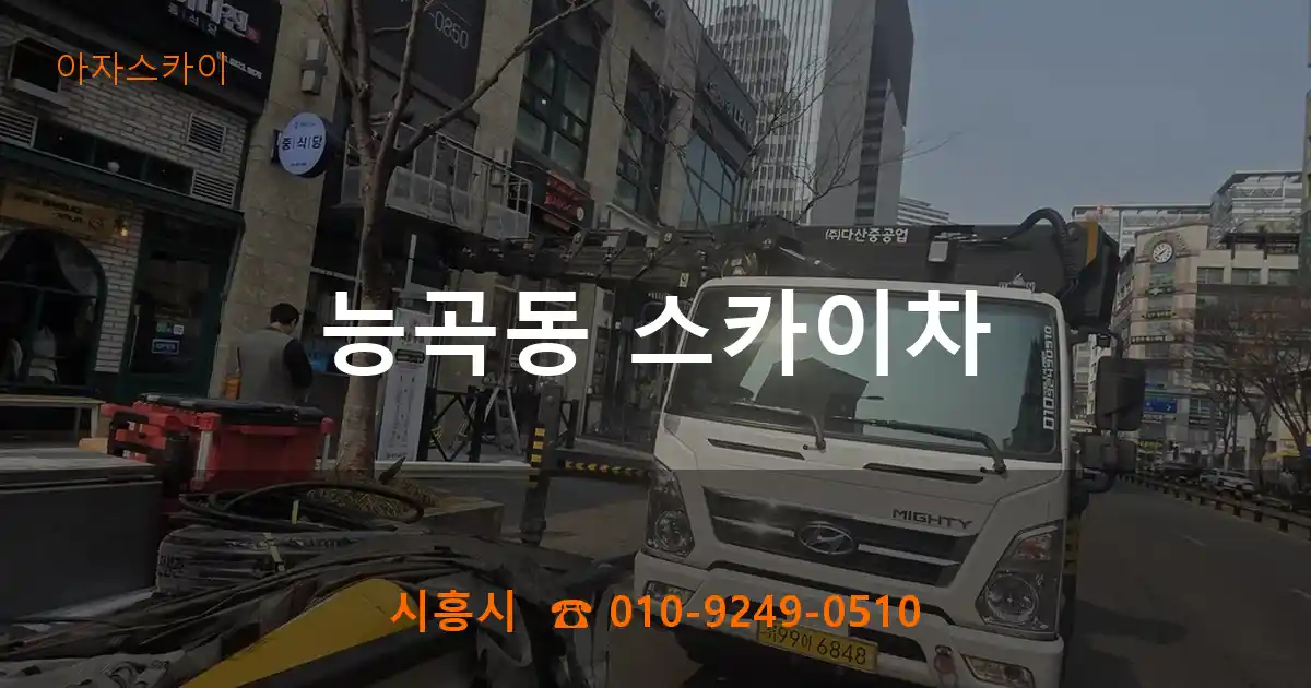 시흥시 능곡동 스카이차