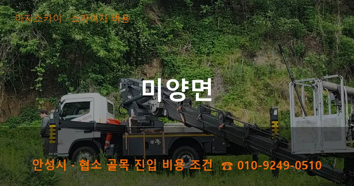 안성시 미양면 스카이차 비용 작업