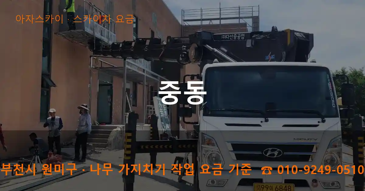부천시 원미구 중동 스카이차 요금 작업