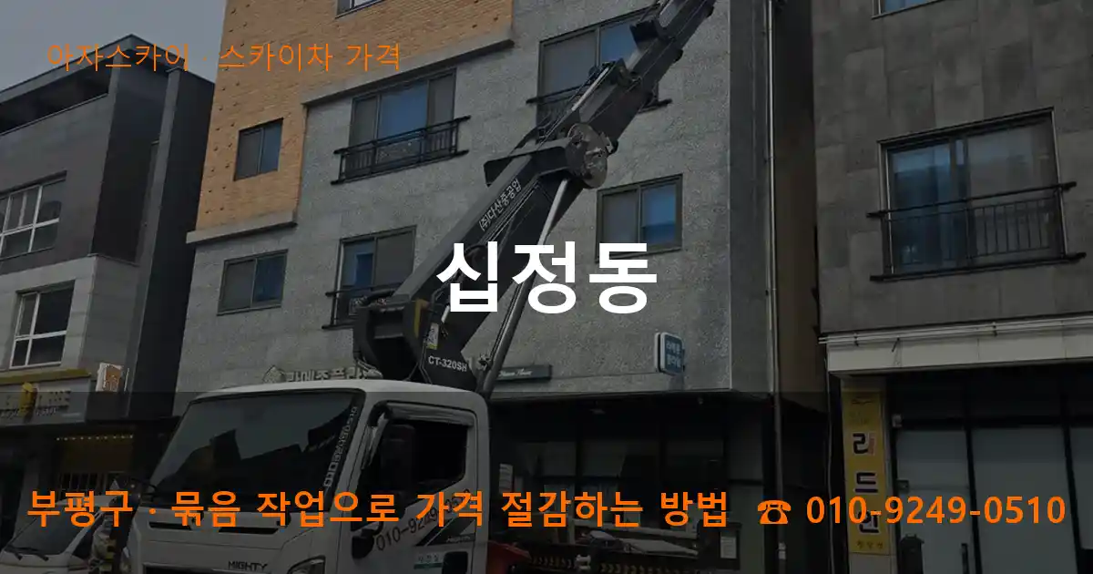 부평구 십정동 스카이차 가격 작업