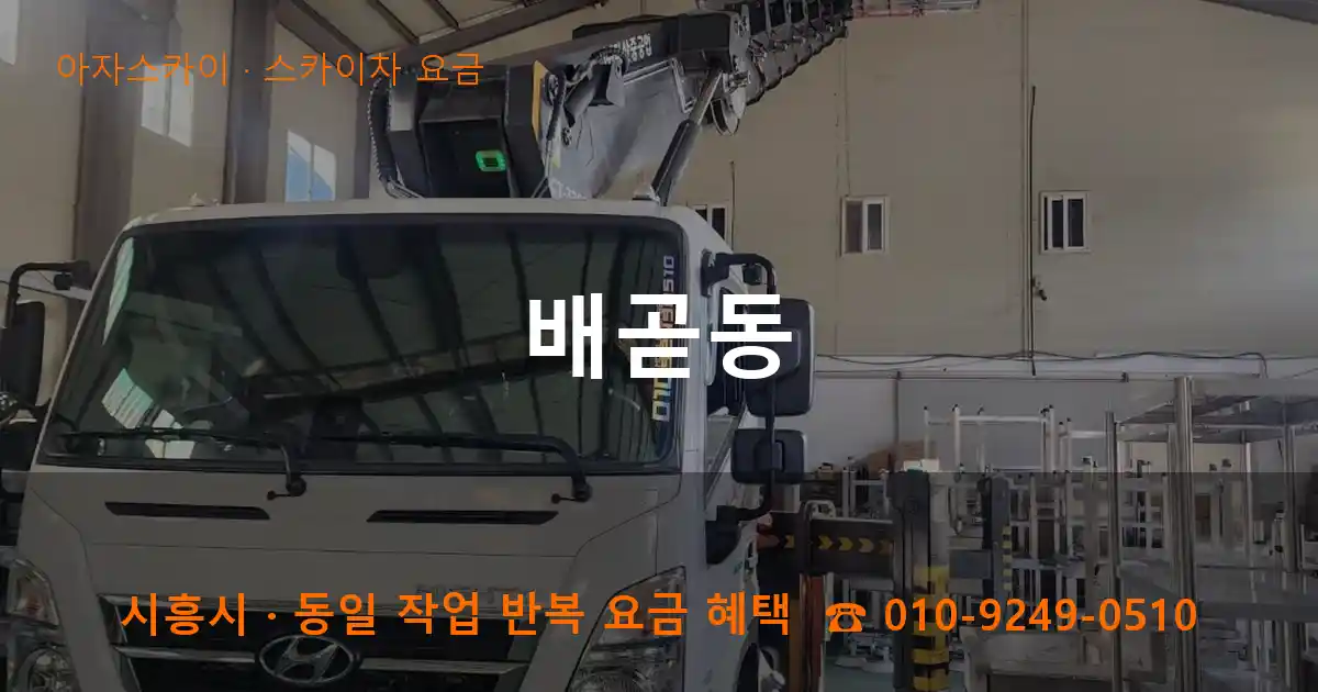 시흥 배곧동 스카이차 요금 작업