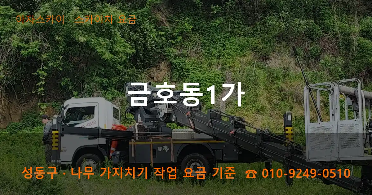 성동구 금호동1가 스카이차 요금 작업