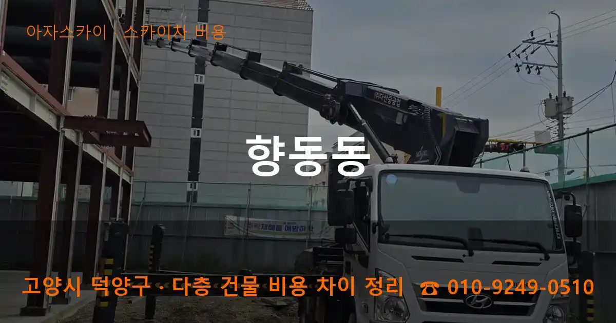고양시 덕양구 향동동 스카이차 비용 작업