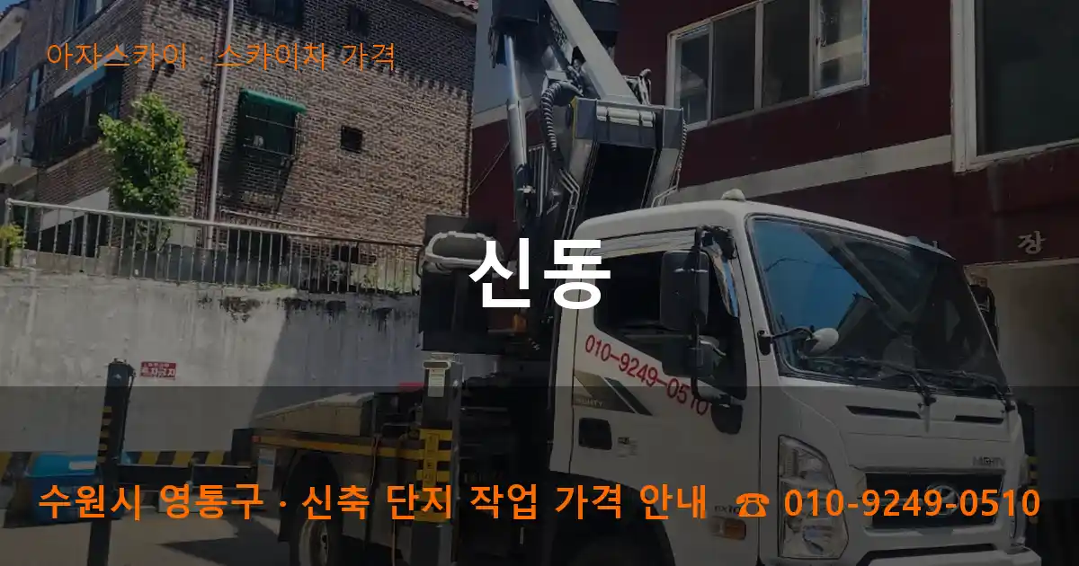 수원 영통구 신동 스카이차 가격 작업