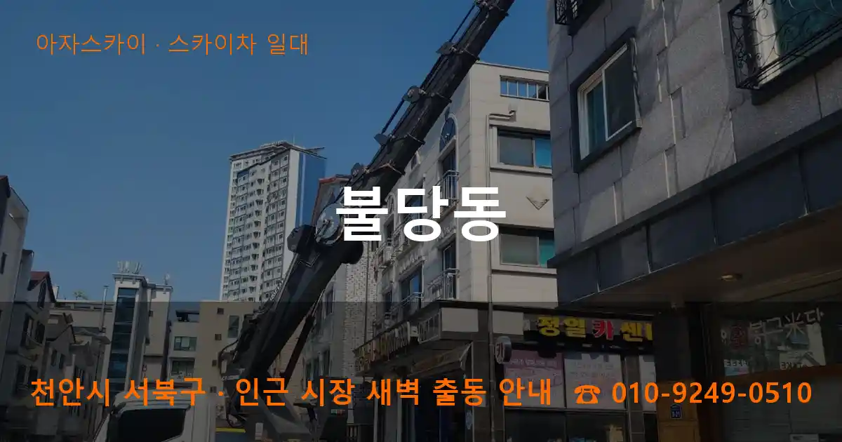 천안 서북구 불당동 스카이차 일대 작업